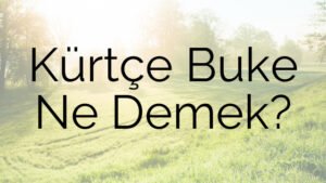 Kürtçe Buke Ne Demek?