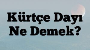Kürtçe Dayı Ne Demek?