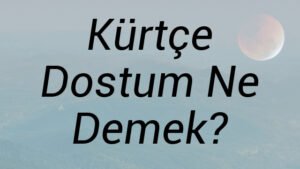 Kürtçe Dostum Ne Demek?