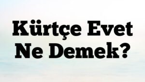 Kürtçe Evet Ne Demek?