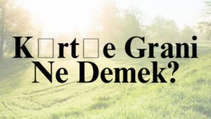 Kürtçe Grani Ne Demek?