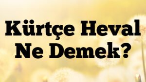 Kürtçe Heval Ne Demek?