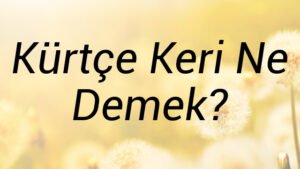 Kürtçe Keri Ne Demek?