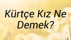 Kürtçe Kız Ne Demek?