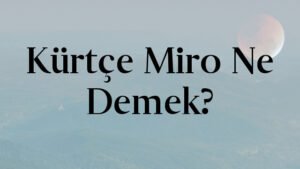 Kürtçe Miro Ne Demek?