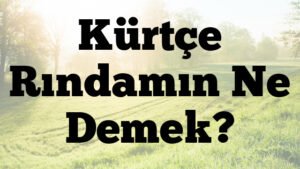 Kürtçe Rındamın Ne Demek?