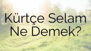 Kürtçe Selam Ne Demek?