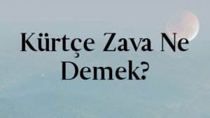 Kürtçe Zava Ne Demek?