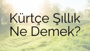 Kürtçe Şıllık Ne Demek?