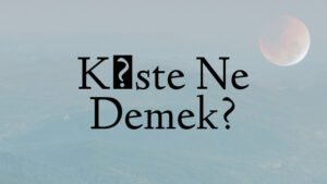 Küste Ne Demek?