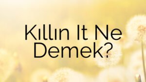 Kıllın It Ne Demek?
