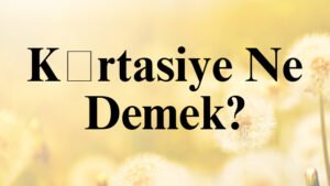 Kırtasiye Ne Demek?