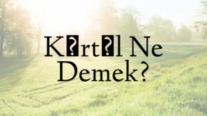 Kırtıl Ne Demek?