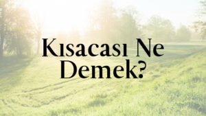 Kısacası Ne Demek?