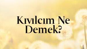 Kıvılcım Ne Demek?
