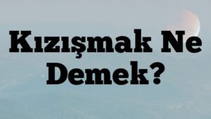 Kızışmak Ne Demek?