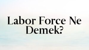 Labor Force Ne Demek?