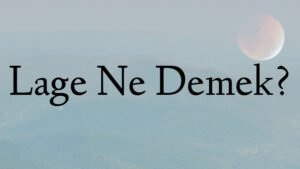 Lage Ne Demek?
