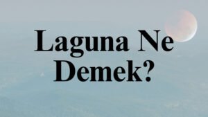 Laguna Ne Demek?