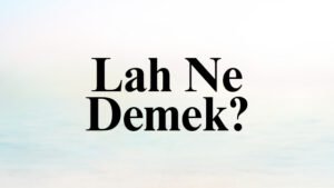 Lah Ne Demek?