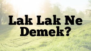 Lak Lak Ne Demek?