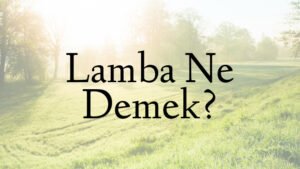 Lamba Ne Demek?