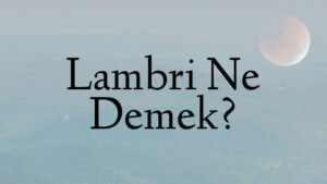 Lambri Ne Demek?