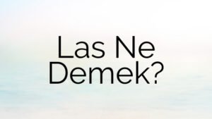 Las Ne Demek?