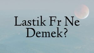 Lastik Fr Ne Demek?