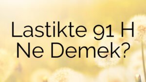 Lastikte 91 H Ne Demek?