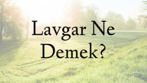 Lavgar Ne Demek?