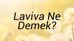 Laviva Ne Demek?