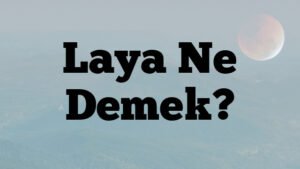Laya Ne Demek?