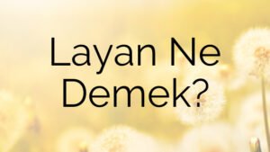 Layan Ne Demek?