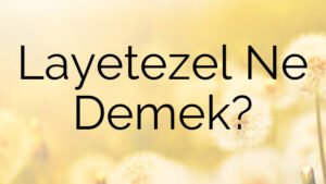 Layetezel Ne Demek?