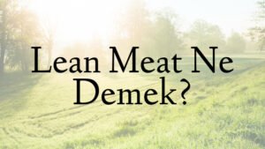 Lean Meat Ne Demek?