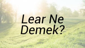 Lear Ne Demek?