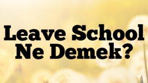Leave School Ne Demek?