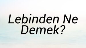 Lebinden Ne Demek?