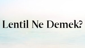 Lentil Ne Demek?