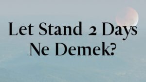 Let Stand 2 Days Ne Demek?