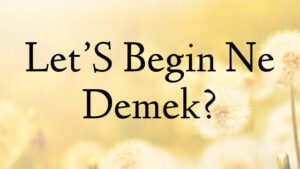 Let’S Begin Ne Demek?