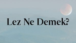 Lez Ne Demek?