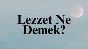 Lezzet Ne Demek?