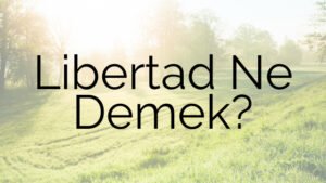 Libertad Ne Demek?
