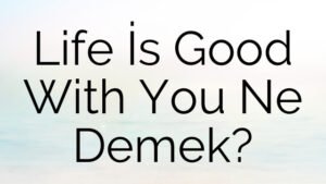 Life İs Good With You Ne Demek?