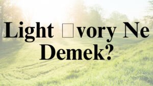Light İvory Ne Demek?
