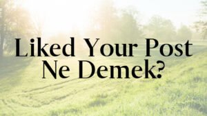 Liked Your Post Ne Demek?