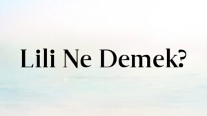 Lili Ne Demek?