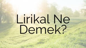 Lirikal Ne Demek?